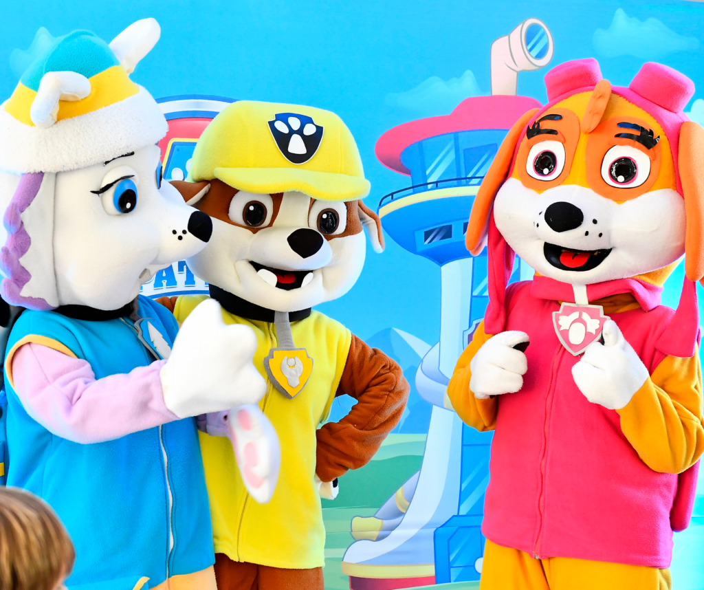 paw patrol 12