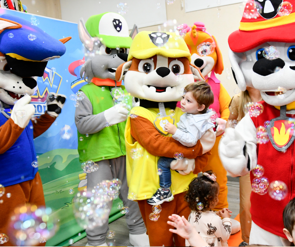 paw patrol 6