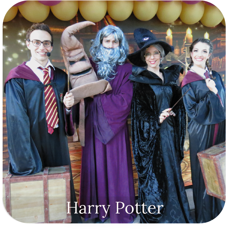 harry potter show cumpleaños mar de mo