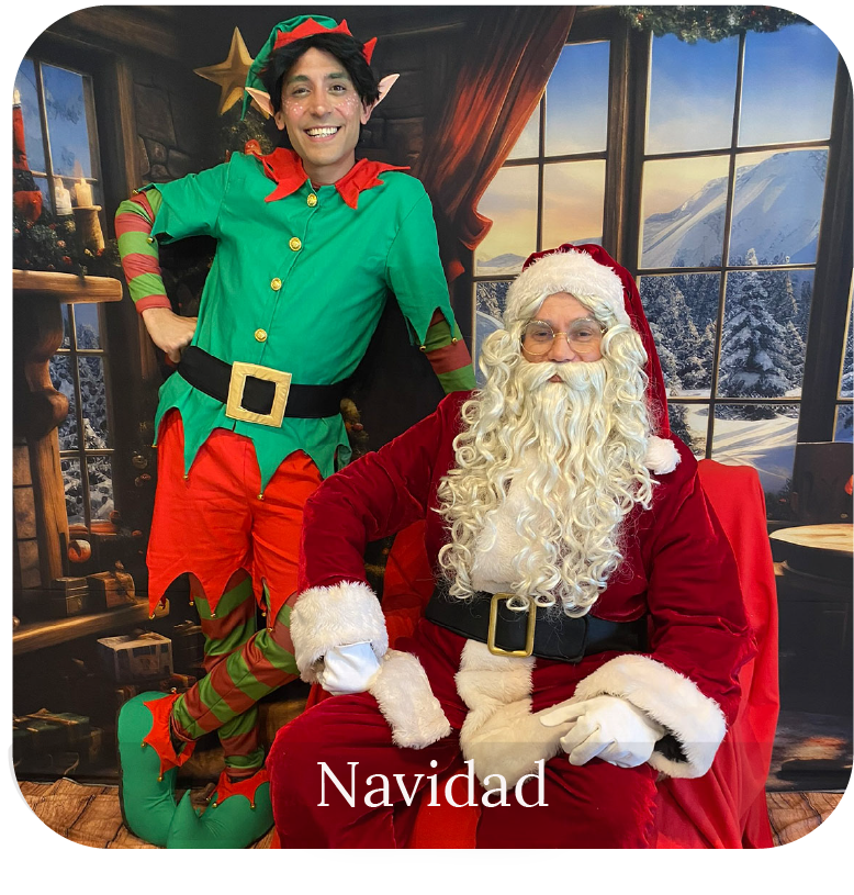navidad boton